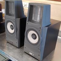 Sony Sa-S1 diffusori elettrostatici Full service