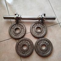 Manubrio palestra con pesi.