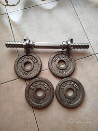 Manubrio palestra con pesi.