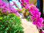 Immagine 18