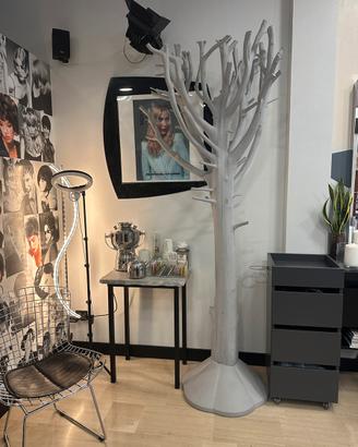 Albero grigio