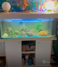 Acquario