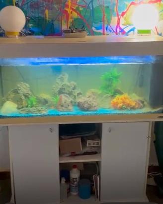 Acquario