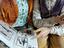 Immagine 6