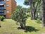 Immagine 19