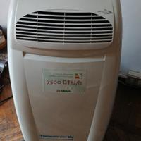 Condizionatore portatile ARIAGEL