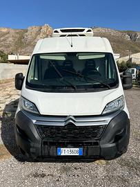 Citroen jumper isotermico