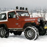 Accessori Ricambi Jeep Renegade CJ7 76-86 Isuzu D