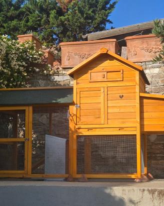 LOTTO PER ALLEVAMENTO GALLINE COMPLETO