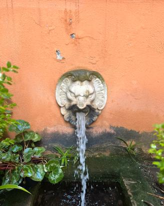 Zona Flaminio SPECIAL PRICE