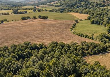 Azienda agricola Romanelli - san mauro forte