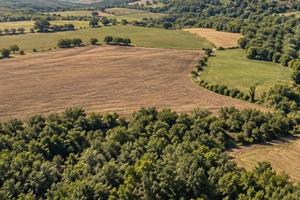 Azienda agricola Romanelli - san mauro forte