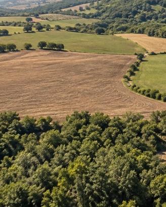 Azienda agricola Romanelli - san mauro forte