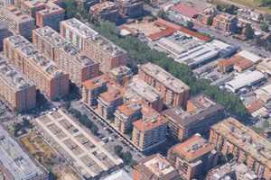 ATTIVITÀ A ROMA