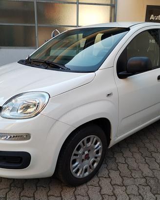 Fiat Panda 1.2 8V Easy