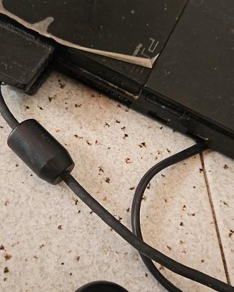 PS2 gioco 