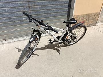 Bicicletta 26