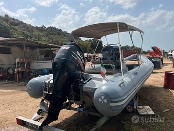 Focchi 730 anno 2021 - Suzuki DF250 - Carrello