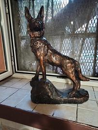 CANE LUPO, MISURE 50CM PER 35 CENTIMETRI 