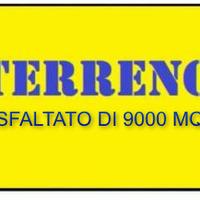 Lotto asfaltato di 9000mq con capannone mestre