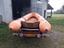 Immagine 4