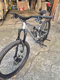 amflow pl carbon 2025