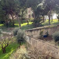 Rif.PI13503| appartamento quadrilocale