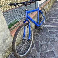 Bicicletta Blu