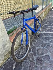 Bicicletta Blu