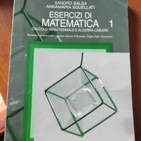libro Esercizi di Matematica 1 - Salsa Squellati