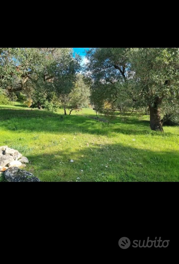 Terreni - Vista 2