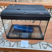 ACQUARIO