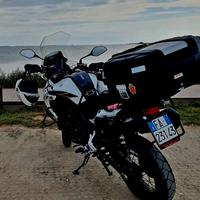 Trk502 X Benelli 2022
