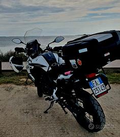 Trk502 X Benelli 2022