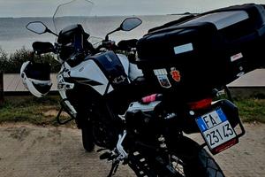 Trk502 X Benelli 2022