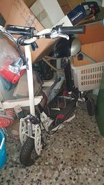 monopattino elettrico  viky italy