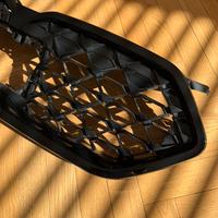 Griglia BMW X2 U10 2025