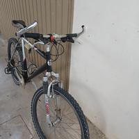 Bicicletta MTB