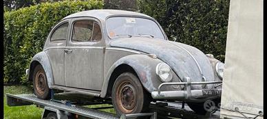 maggiolino  63