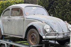maggiolino  63