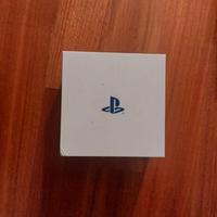 PlayStation 4 Auricolari
