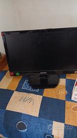 monitor 19 polloci