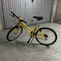 Bicicletta da passeggio