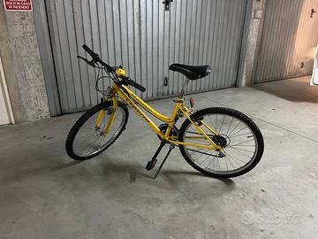 Bicicletta da passeggio