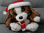 Immagine 1