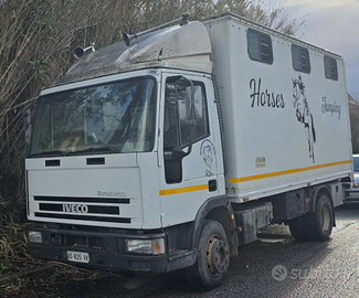 Iveco eurocargo trasporto cavalli 6 posti