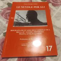 Le nuvole per ali Sanson aviatore