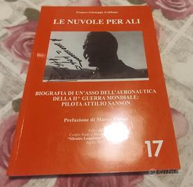 Le nuvole per ali Sanson aviatore