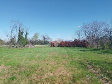 TER. AGRICOLO A MONTIRONE