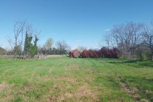 TER. AGRICOLO A MONTIRONE